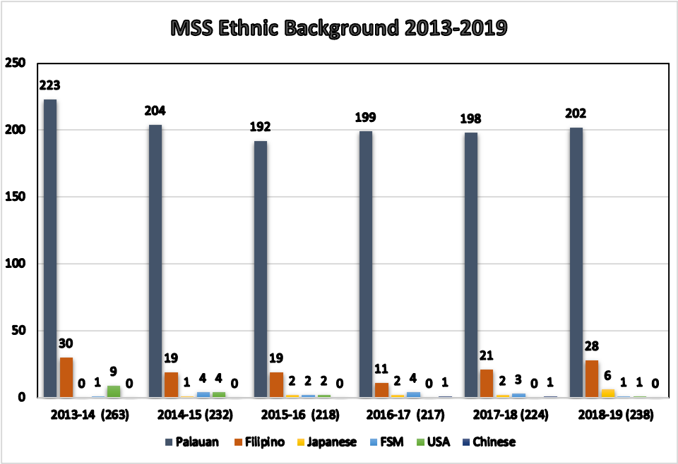 ethnic background 2013-2019